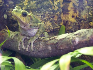 Filename=100_2573.JPG
Filesize=1624KiB
Dimensions=2832x2128
Date added=Sep 28, 2019 100_2573.JPG