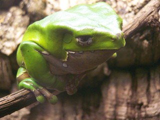 Filename=100_2574.JPG
Filesize=1561KiB
Dimensions=2832x2128
Date added=Sep 28, 2019 100_2574.JPG