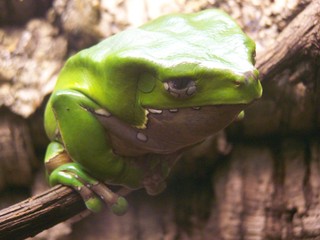 Filename=100_2575.JPG
Filesize=1552KiB
Dimensions=2832x2128
Date added=Sep 28, 2019 100_2575.JPG