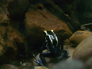 Filename=100_2577.JPG
Filesize=1807KiB
Dimensions=2832x2128
Date added=Sep 28, 2019 100_2577.JPG