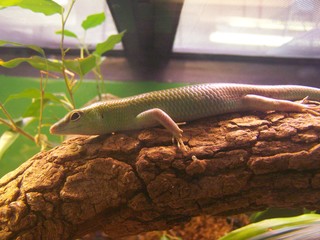 Filename=100_2580.JPG
Filesize=1708KiB
Dimensions=2832x2128
Date added=Sep 28, 2019 100_2580.JPG