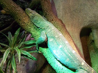 Filename=100_2582.JPG
Filesize=2461KiB
Dimensions=2832x2128
Date added=Sep 28, 2019 100_2582.JPG