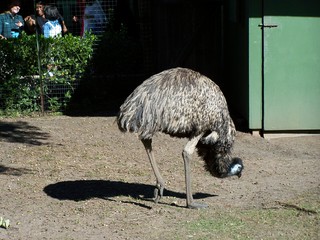 Filename=100_2583.JPG
Filesize=1849KiB
Dimensions=2832x2128
Date added=Sep 28, 2019 100_2583.JPG