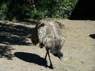 Filename=100_2584.JPG
Filesize=2009KiB
Dimensions=2832x2128
Date added=Sep 28, 2019 100_2584.JPG