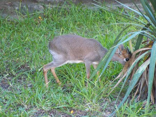 Filename=100_2586.JPG
Filesize=2179KiB
Dimensions=2832x2128
Date added=Sep 28, 2019 100_2586.JPG