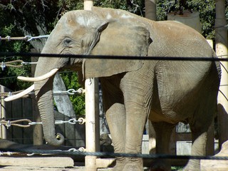 Filename=100_2594.JPG
Filesize=1769KiB
Dimensions=2832x2128
Date added=Sep 28, 2019 100_2594.JPG