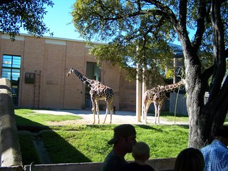 Filename=100_2596.JPG
Filesize=2031KiB
Dimensions=2832x2128
Date added=Sep 28, 2019 100_2596.JPG