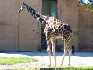 Filename=100_2597.JPG
Filesize=1542KiB
Dimensions=2832x2128
Date added=Sep 28, 2019 100_2597.JPG