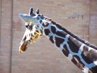 Filename=100_2599.JPG
Filesize=1391KiB
Dimensions=2832x2128
Date added=Sep 28, 2019 100_2599.JPG