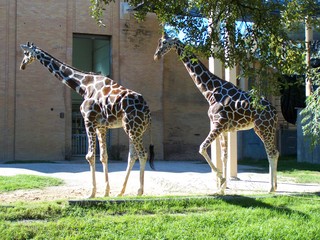 Filename=100_2600.JPG
Filesize=2230KiB
Dimensions=2832x2128
Date added=Sep 28, 2019 100_2600.JPG