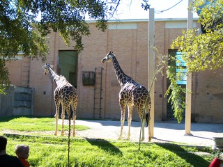 Filename=100_2602.JPG
Filesize=2275KiB
Dimensions=2832x2128
Date added=Sep 28, 2019 100_2602.JPG