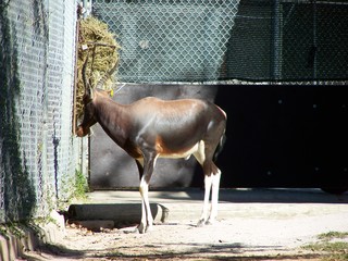 Filename=100_2607.JPG
Filesize=1773KiB
Dimensions=2832x2128
Date added=Sep 28, 2019 100_2607.JPG