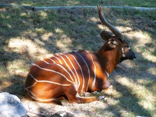 Filename=100_2612.JPG
Filesize=2322KiB
Dimensions=2832x2128
Date added=Sep 28, 2019 100_2612.JPG