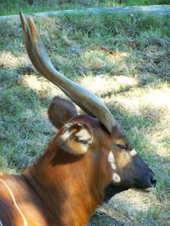 Filename=100_2613.JPG
Filesize=1763KiB
Dimensions=2128x2832
Date added=Sep 28, 2019 100_2613.JPG