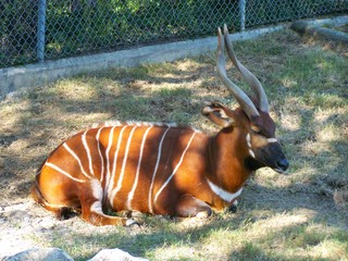 Filename=100_2614.JPG
Filesize=2435KiB
Dimensions=2832x2128
Date added=Sep 28, 2019 100_2614.JPG