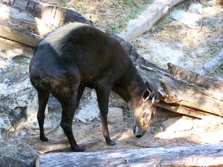 Filename=100_2615.JPG
Filesize=2170KiB
Dimensions=2832x2128
Date added=Sep 28, 2019 100_2615.JPG