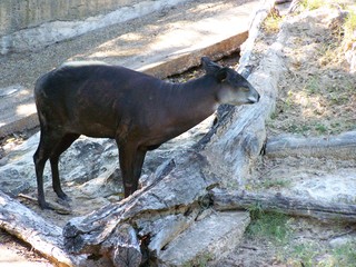 Filename=100_2618.JPG
Filesize=2131KiB
Dimensions=2832x2128
Date added=Sep 28, 2019 100_2618.JPG