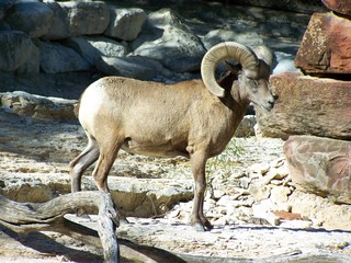 Filename=100_2620.JPG
Filesize=1851KiB
Dimensions=2832x2128
Date added=Sep 28, 2019 100_2620.JPG