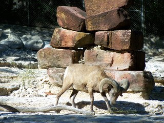 Filename=100_2622.JPG
Filesize=1782KiB
Dimensions=2832x2128
Date added=Sep 28, 2019 100_2622.JPG