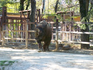 Filename=100_2623.JPG
Filesize=2157KiB
Dimensions=2832x2128
Date added=Sep 28, 2019 100_2623.JPG