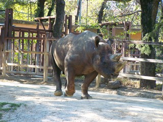 Filename=100_2624.JPG
Filesize=2169KiB
Dimensions=2832x2128
Date added=Sep 28, 2019 100_2624.JPG