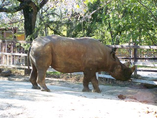 Filename=100_2625.JPG
Filesize=2200KiB
Dimensions=2832x2128
Date added=Sep 28, 2019 100_2625.JPG