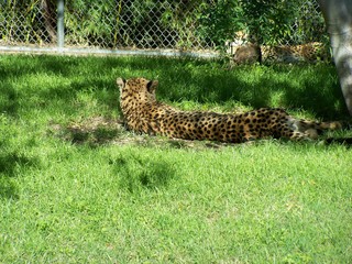 Filename=100_2627.JPG
Filesize=2546KiB
Dimensions=2832x2128
Date added=Sep 28, 2019 100_2627.JPG