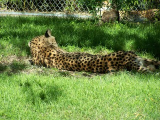 Filename=100_2628.JPG
Filesize=2242KiB
Dimensions=2832x2128
Date added=Sep 28, 2019 100_2628.JPG