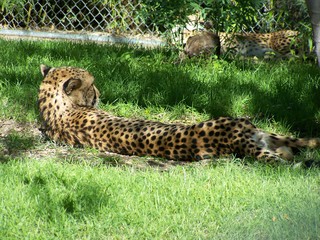 Filename=100_2629.JPG
Filesize=2255KiB
Dimensions=2832x2128
Date added=Sep 28, 2019 100_2629.JPG