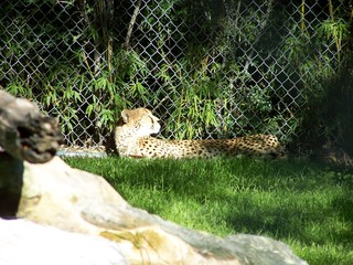 Filename=100_2631.JPG
Filesize=1915KiB
Dimensions=2832x2128
Date added=Sep 28, 2019 100_2631.JPG