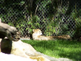 Filename=100_2632.JPG
Filesize=1956KiB
Dimensions=2832x2128
Date added=Sep 28, 2019 100_2632.JPG