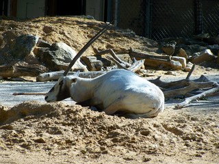 Filename=100_2633.JPG
Filesize=2022KiB
Dimensions=2832x2128
Date added=Sep 28, 2019 100_2633.JPG