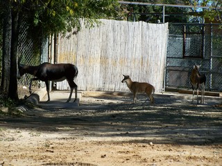 Filename=100_2636.JPG
Filesize=2215KiB
Dimensions=2832x2128
Date added=Sep 28, 2019 100_2636.JPG