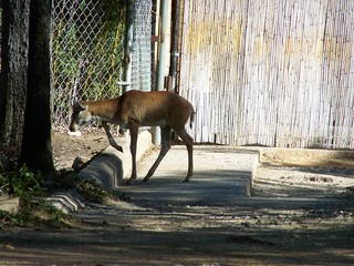 Filename=100_2637.JPG
Filesize=1949KiB
Dimensions=2832x2128
Date added=Sep 28, 2019 100_2637.JPG