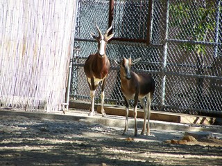 Filename=100_2638.JPG
Filesize=2257KiB
Dimensions=2832x2128
Date added=Sep 28, 2019 100_2638.JPG