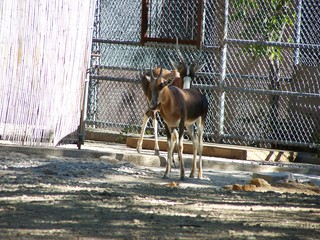 Filename=100_2639.JPG
Filesize=2236KiB
Dimensions=2832x2128
Date added=Sep 28, 2019 100_2639.JPG