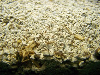 Filename=100_2644.JPG
Filesize=1593KiB
Dimensions=2832x2128
Date added=Sep 28, 2019 100_2644.JPG