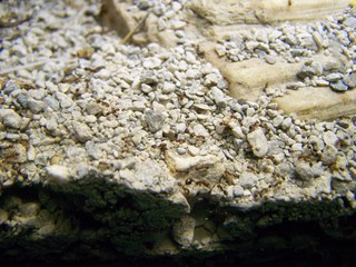 Filename=100_2645.JPG
Filesize=1616KiB
Dimensions=2832x2128
Date added=Sep 28, 2019 100_2645.JPG