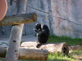 Filename=100_2659.JPG
Filesize=1777KiB
Dimensions=2832x2128
Date added=Sep 28, 2019 100_2659.JPG