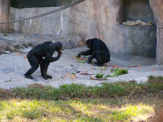 Filename=100_2661.JPG
Filesize=1990KiB
Dimensions=2832x2128
Date added=Sep 28, 2019 100_2661.JPG