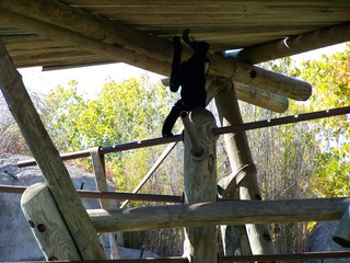 Filename=100_2663.JPG
Filesize=1786KiB
Dimensions=2832x2128
Date added=Sep 28, 2019 100_2663.JPG