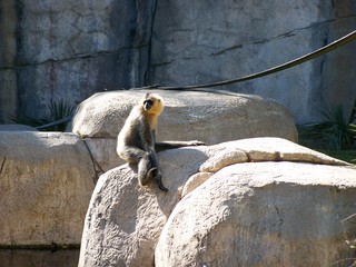 Filename=100_2665.JPG
Filesize=1748KiB
Dimensions=2832x2128
Date added=Sep 28, 2019 100_2665.JPG