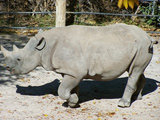 Filename=100_2671.JPG
Filesize=1689KiB
Dimensions=2832x2128
Date added=Sep 28, 2019 100_2671.JPG