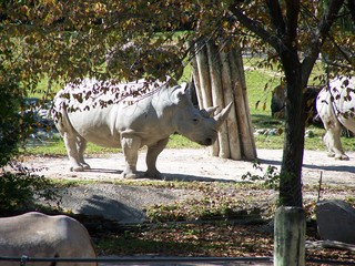 Filename=100_2673.JPG
Filesize=2178KiB
Dimensions=2832x2128
Date added=Sep 28, 2019 100_2673.JPG