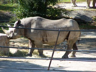 Filename=100_2674.JPG
Filesize=2167KiB
Dimensions=2832x2128
Date added=Sep 28, 2019 100_2674.JPG