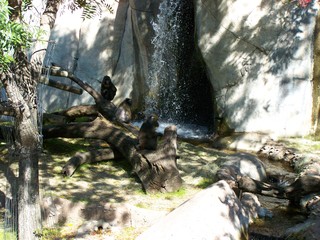 Filename=100_2676.JPG
Filesize=2044KiB
Dimensions=2832x2128
Date added=Sep 28, 2019 100_2676.JPG