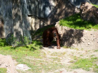 Filename=100_2679.JPG
Filesize=2069KiB
Dimensions=2832x2128
Date added=Sep 28, 2019 100_2679.JPG