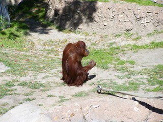 Filename=100_2681.JPG
Filesize=2029KiB
Dimensions=2832x2128
Date added=Sep 28, 2019 100_2681.JPG