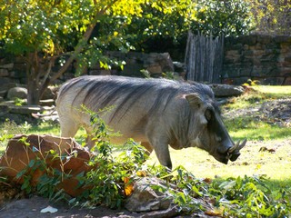 Filename=100_2685.JPG
Filesize=2134KiB
Dimensions=2832x2128
Date added=Sep 28, 2019 100_2685.JPG