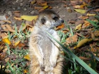 Filename=100_2693.JPG
Filesize=1437KiB
Dimensions=2832x2128
Date added=Sep 28, 2019 100_2693.JPG